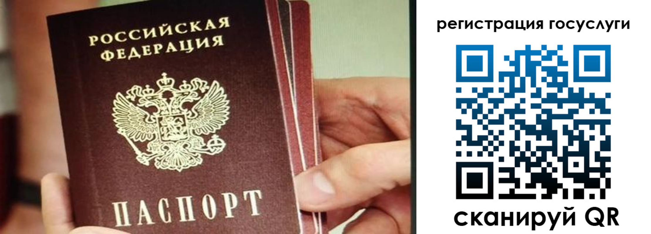 временная регистрация собственник в Зверево